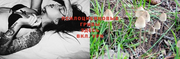 молекула духа Аркадак