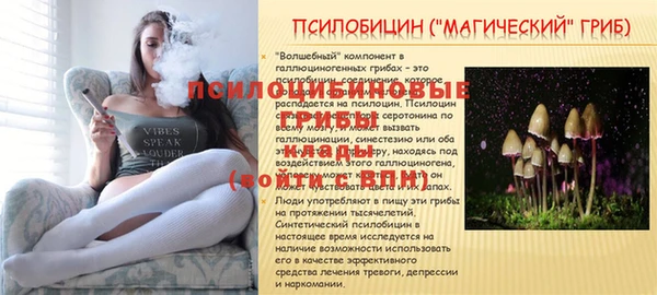 не бодяженный Арсеньев