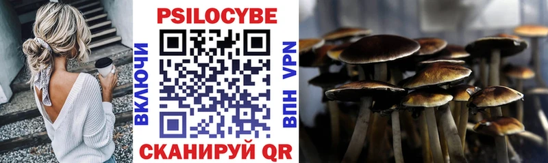 гидра вход Уссурийск Псилоцибиновые грибы Psilocybe